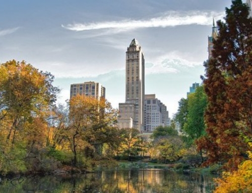 Central Park offers the best of New York attractions